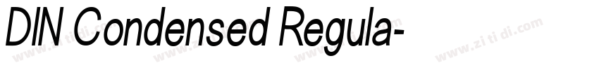 DIN Condensed Regula字体转换